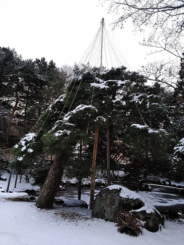 南昌荘の雪吊