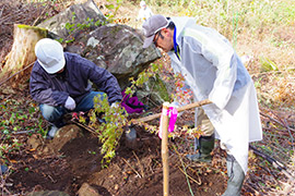 ２０１９年コープの森まえさわ生母で最後の植樹。現在も草刈りなどのお手入れを続けています。